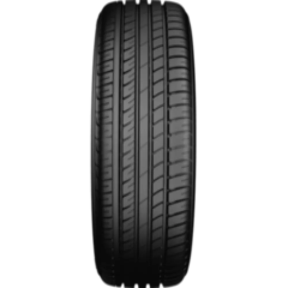 PETLAS 205/65/16 95Η PT515 IMPERIUM